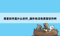 黑客软件是什么软件_国外有没有黑客软件啊