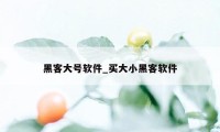 黑客大号软件_买大小黑客软件