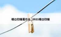 端口扫描是什么_2021端口扫描