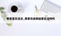 黑客是否违法_黑客攻击网站算犯法吗吗