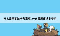 什么是黑客技术专家呢_什么是黑客技术专家