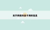 关于网络攻击子洲的信息