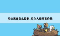 尼尔黑客怎么控制_尼尔入侵黑客作战