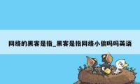 网络的黑客是指_黑客是指网络小偷吗吗英语