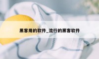 黑客用的软件_流行的黑客软件