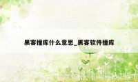 黑客撞库什么意思_黑客软件撞库