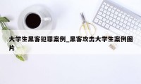 大学生黑客犯罪案例_黑客攻击大学生案例图片