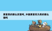 黑客真的那么厉害吗_中国黑客实力真的那么强吗