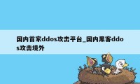 国内首家ddos攻击平台_国内黑客ddos攻击境外