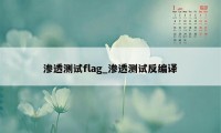 渗透测试flag_渗透测试反编译