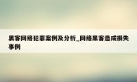 黑客网络犯罪案例及分析_网络黑客造成损失事例