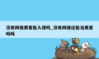 没有网络黑客能入侵吗_没有网络还能当黑客吗吗