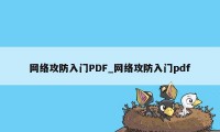 网络攻防入门PDF_网络攻防入门pdf