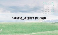 SSH渗透_渗透测试中ssh利用