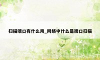 扫描端口有什么用_网络中什么是端口扫描