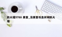 防火墙5788 黑客_没黑客攻击长城防火墙