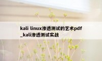 kali linux渗透测试的艺术pdf_kali渗透测试实战