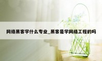 网络黑客学什么专业_黑客是学网络工程的吗