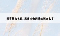 黑客英文名称_黑客攻击网站的英文名字