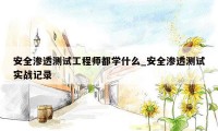 安全渗透测试工程师都学什么_安全渗透测试实战记录