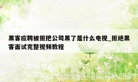 黑客应聘被拒把公司黑了是什么电视_拒绝黑客面试完整视频教程