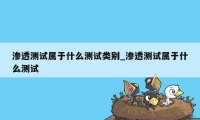 渗透测试属于什么测试类别_渗透测试属于什么测试