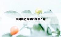 暗网浏览真实的简单介绍