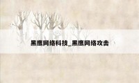 黑鹰网络科技_黑鹰网络攻击