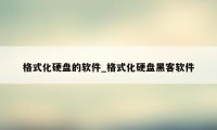 格式化硬盘的软件_格式化硬盘黑客软件