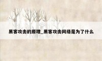 黑客攻击的原理_黑客攻击网络是为了什么